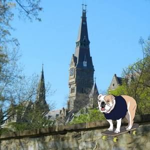 Meet your Posher, Todd